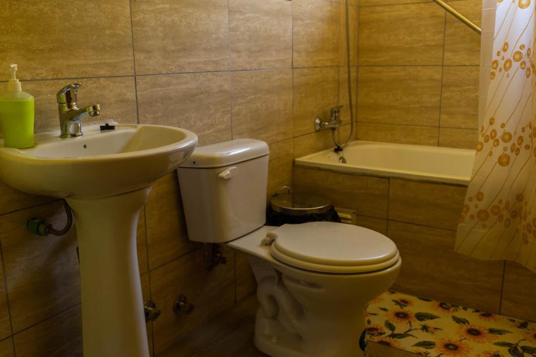 Chácara Aliwen Panguipulli